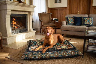 Cushion Dog Bed Royal Palace | Gauchitto